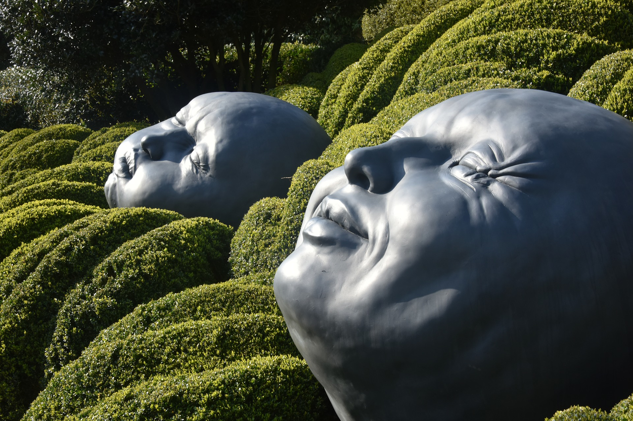 If you’re looking to beautify your home’s exterior